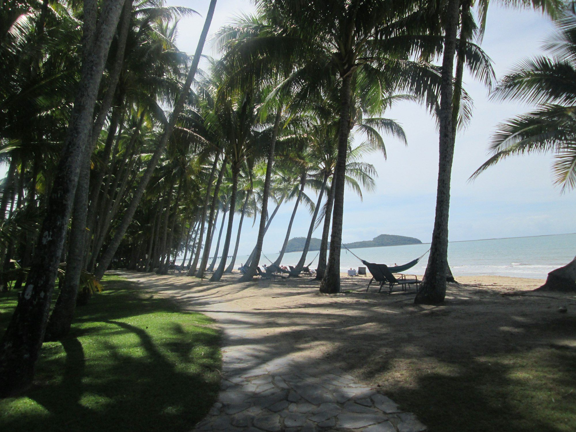 Palm trees lining the beachfront path at Palm Cove in tropical Far North Queensland
