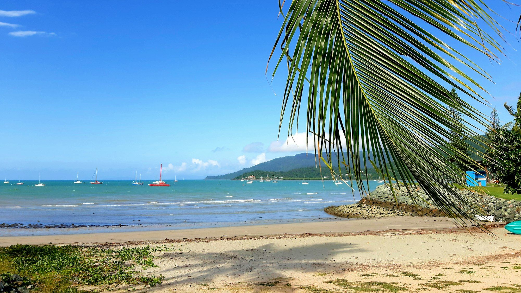 Sailboats moored in turquoise water off the palm-lined beach at Airlie Beach, Whitsundays